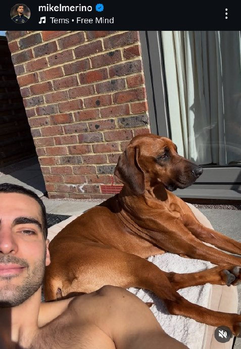 梅里诺：以更强姿态回归阿森纳 享受康复每一步