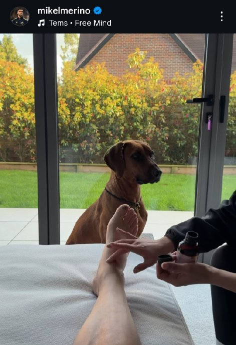 梅里诺：以更强姿态回归阿森纳 享受康复每一步