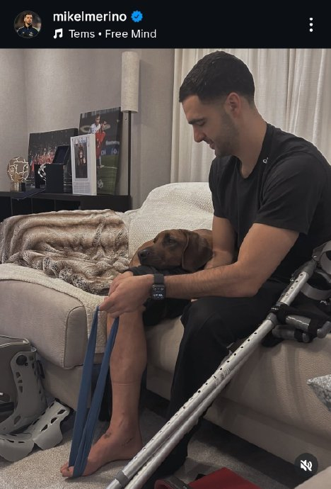 梅里诺：以更强姿态回归阿森纳 享受康复每一步