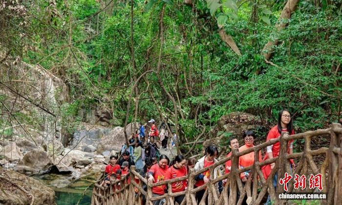 近万人齐聚广州从化五指山景区参与全国新年登